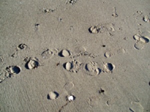 S poren in het zand